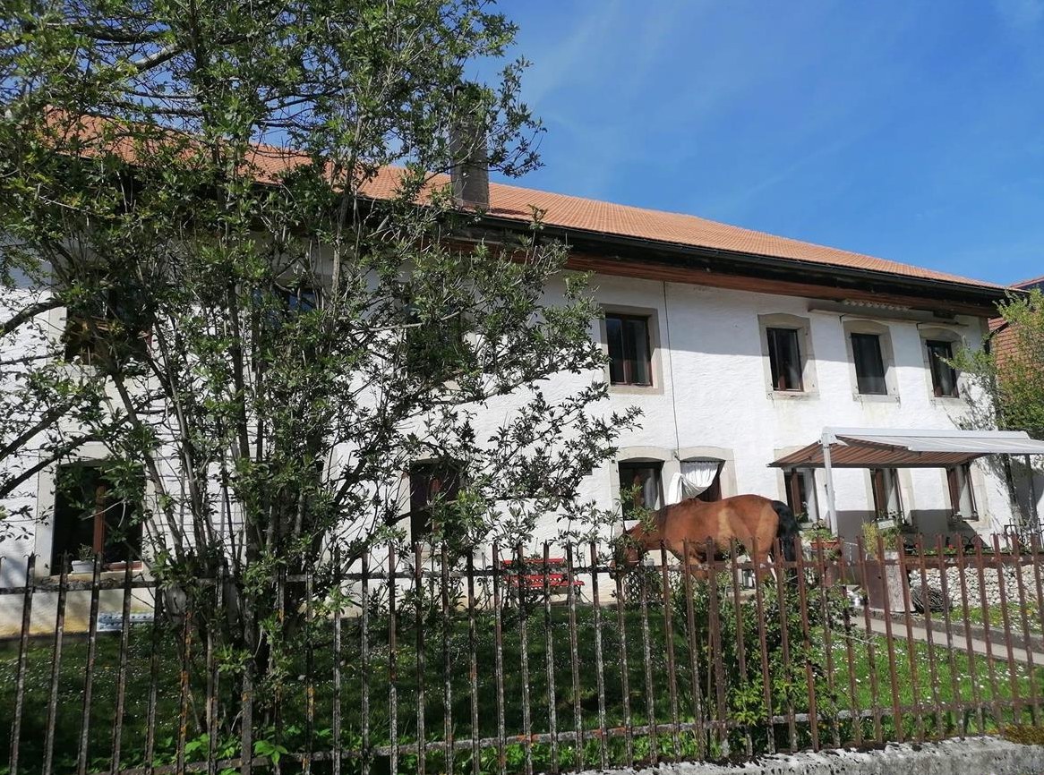 Ferien mit Hund in Ferienwohnung im Jura