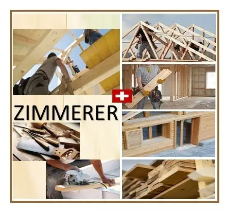 2 Zimmerer 100% (CH-Kt. Zürich) - per sofort