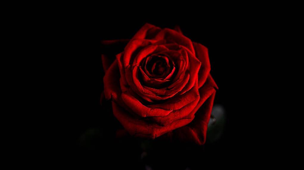 Wellness für Ihren Körper und Ihre Füsse