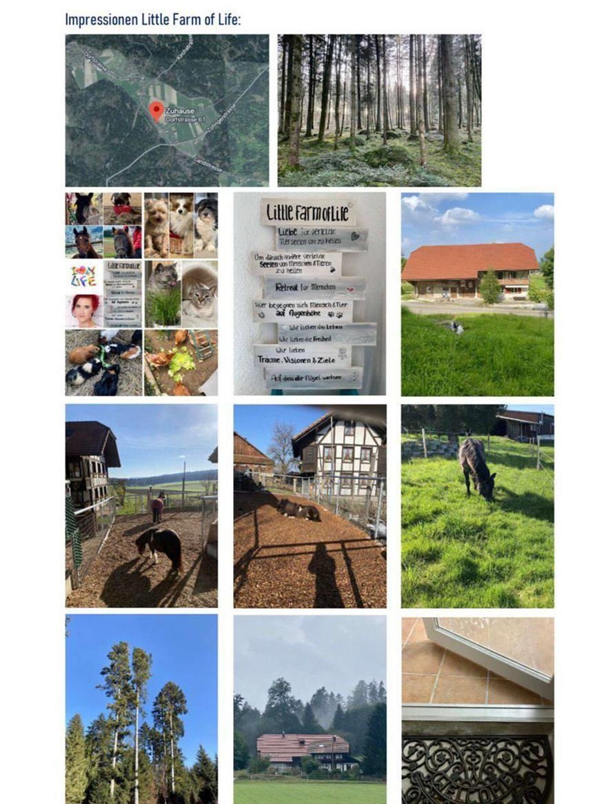 Auszeit, Ferien, Retreat, Wochenende auf dem Lebenshof Little Farm of Life