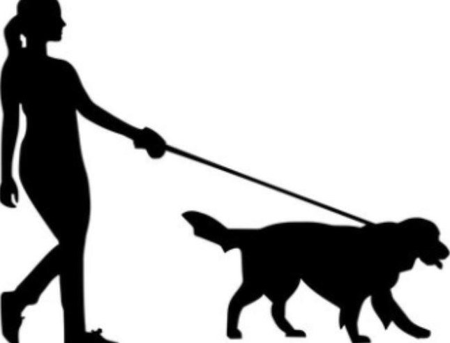 Hundespazierdienst & Tierbetreuung Hausen AG, Windisch, Brugg