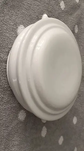 Porzellan Dose mit Löwenkopf