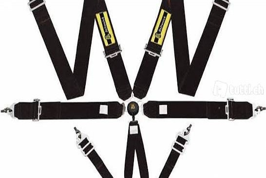  6 Punkt Rennsport Sport Gurt Hosenträgergurt
