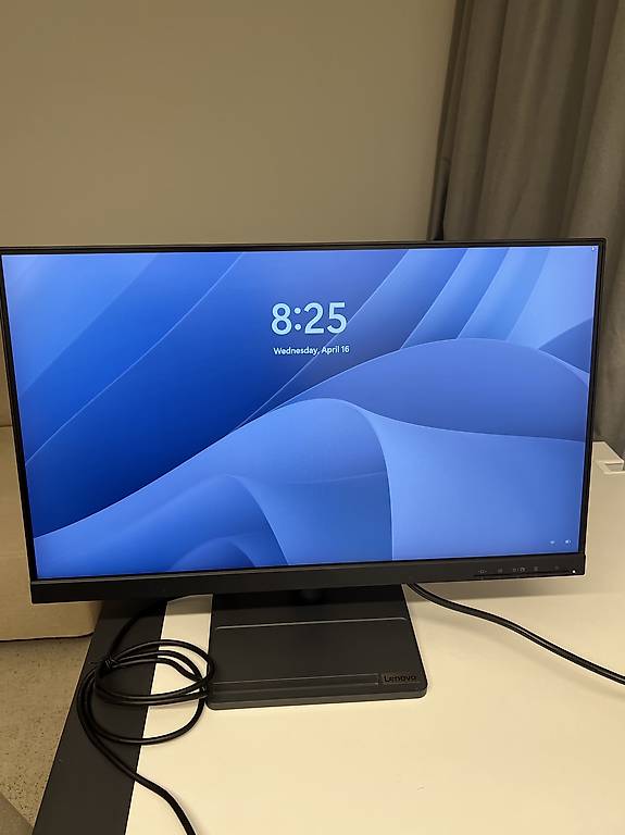 Monitor Lenovo L24e-30 Zoll 24