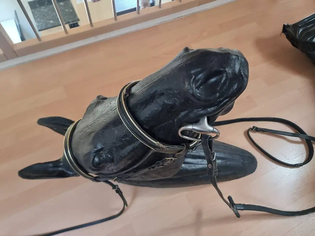 Pferdekopf zum aufhängen