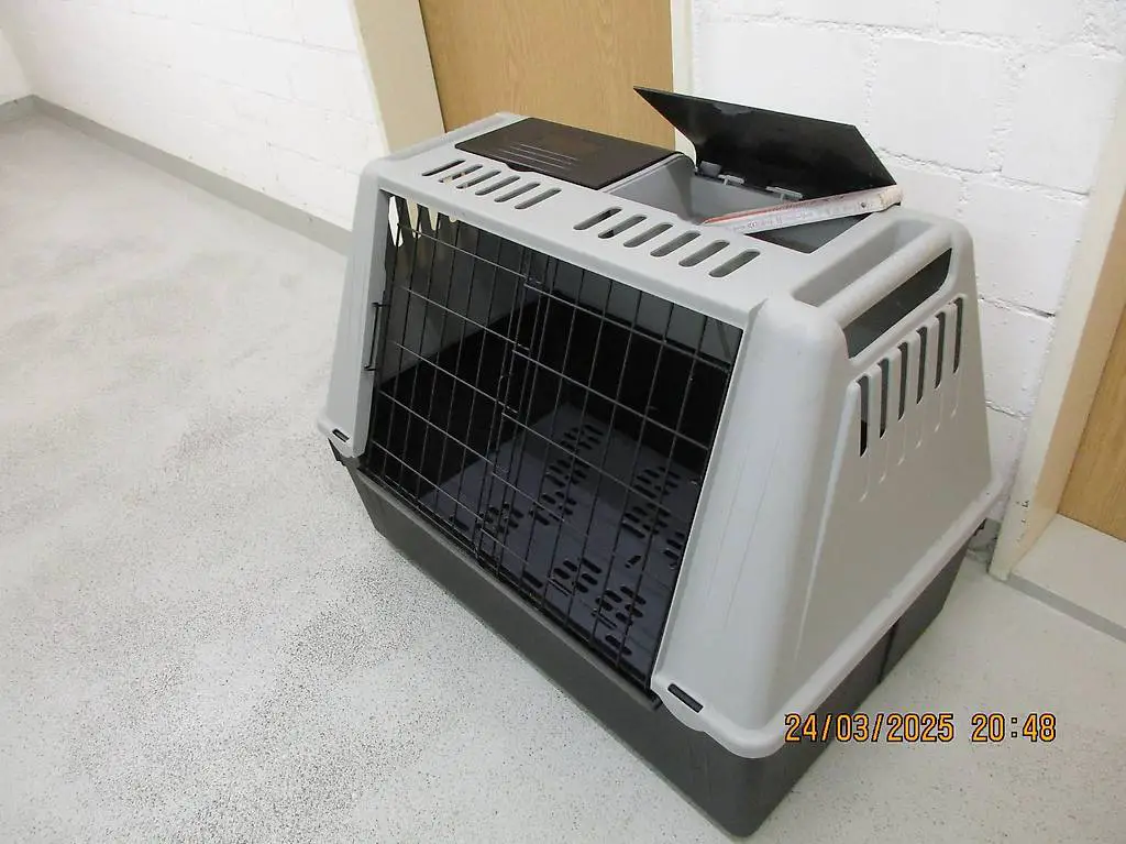 Hunde Transportbox