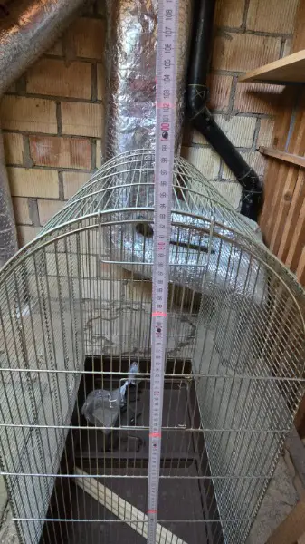 Bogen Kanarien Käfig abzugeben