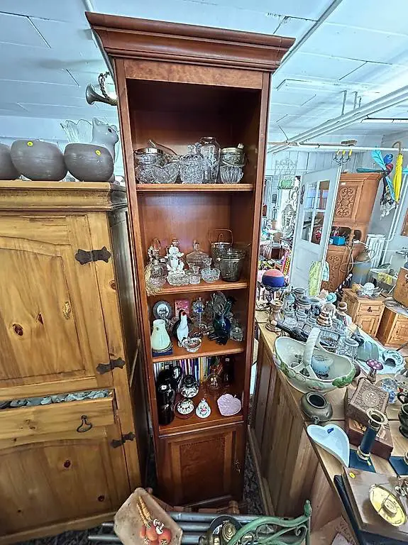 Bücherregal mit Tablaren und 1 Türe h225, b60, T40 cm