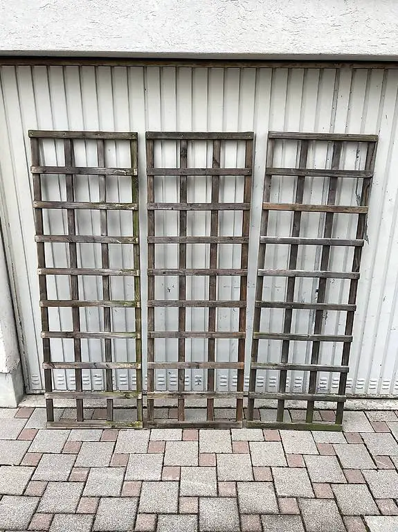 Rankgitter Kieferholz