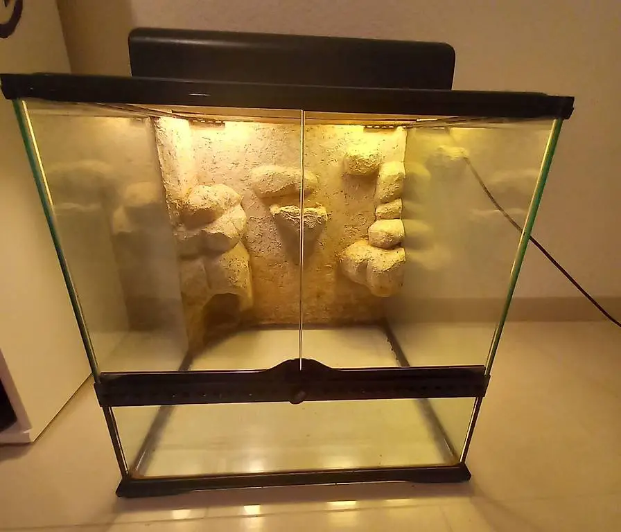 Exo Terra Terrarium 45 x 45 x 45 cm inkl. Beleuchtung & Rück