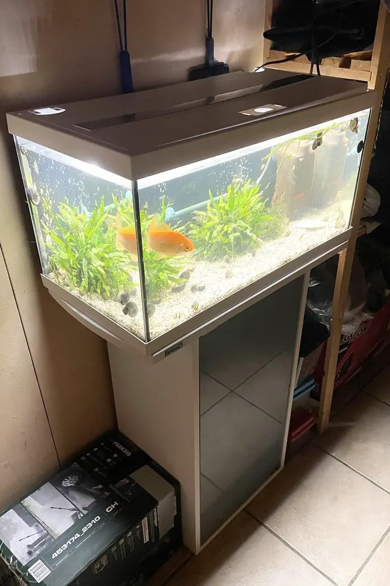 Eheim Becken Aquastar 54 mit Schrank, LED, Filter & Heizstab