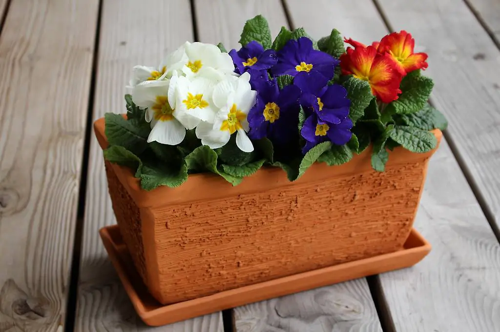 Garten Tontopf inkl. Untersetzer