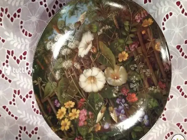 Sammelteller Am Zaun