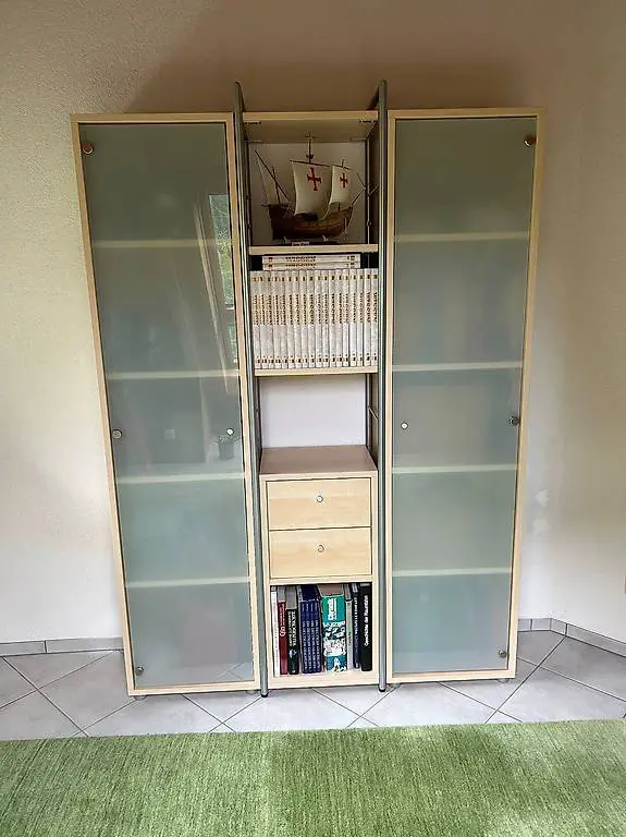 Bücherschrank/Büchervitrine