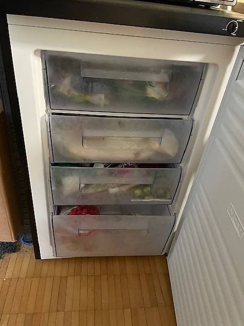 Gefrierschrank FrigeluX