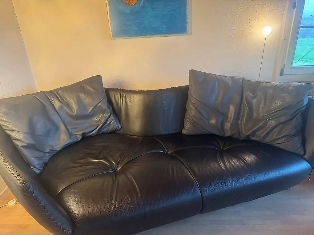 De Sede Ledersofa DS-102 gut erhalten