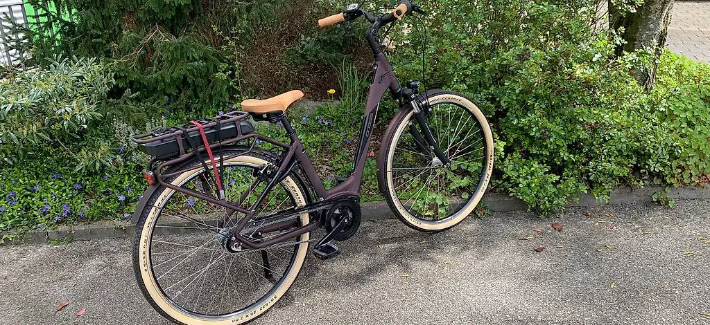 E-Bike Cross