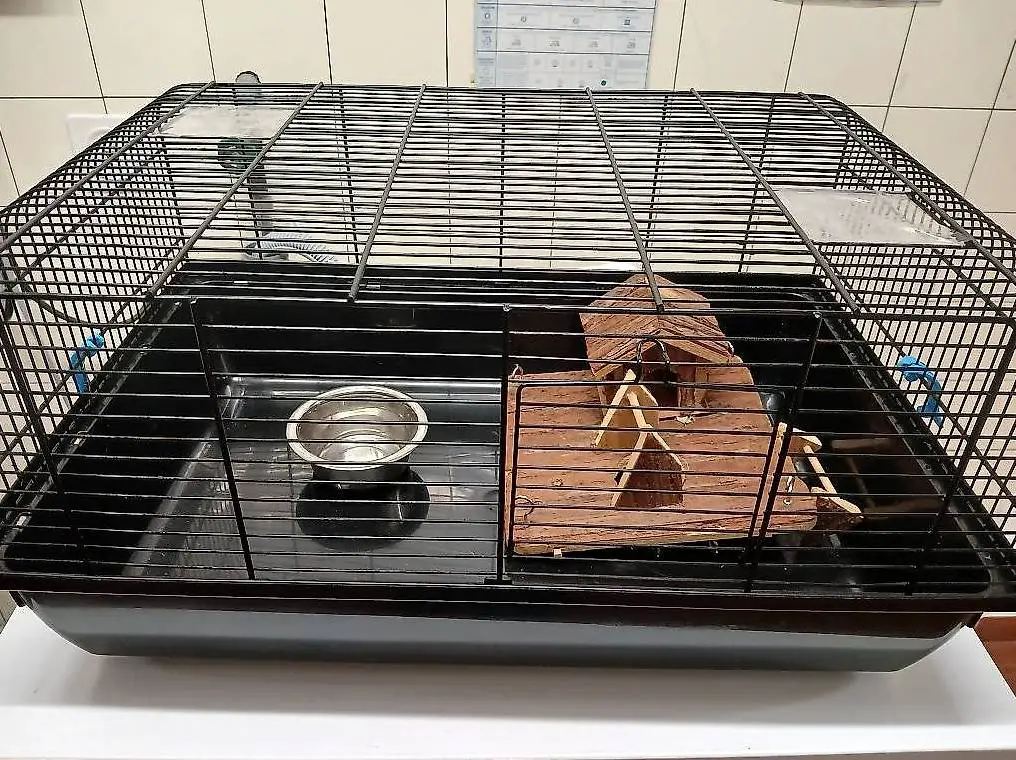 Gabbia criceti/roditori 60x40x30 cm, pulita, accessori