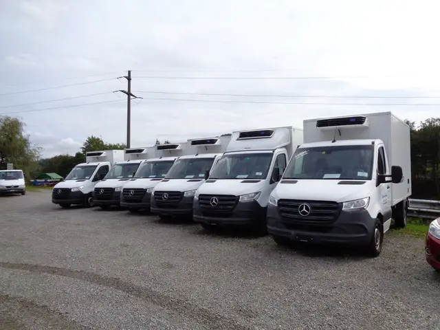 MERCEDES-BENZ, Sprinter 316 CDI, Kühlfahrzeug