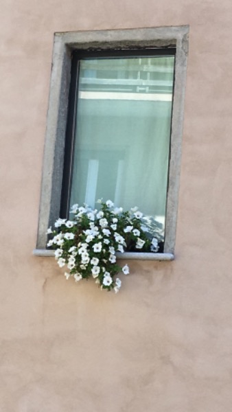 Grosse ammobilierte Einzimmerwohnung