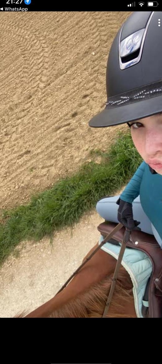 Suche Reitbeteiligung in Basel-Landschaft