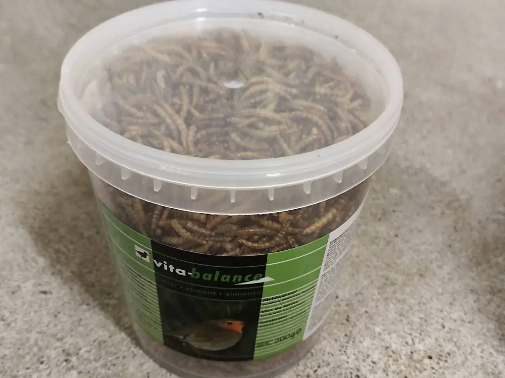 Hamster Nger Zubehör