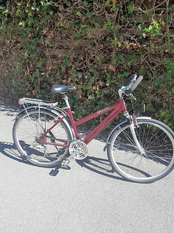 Damen Velo Cresta Veloce Frisch ab Service