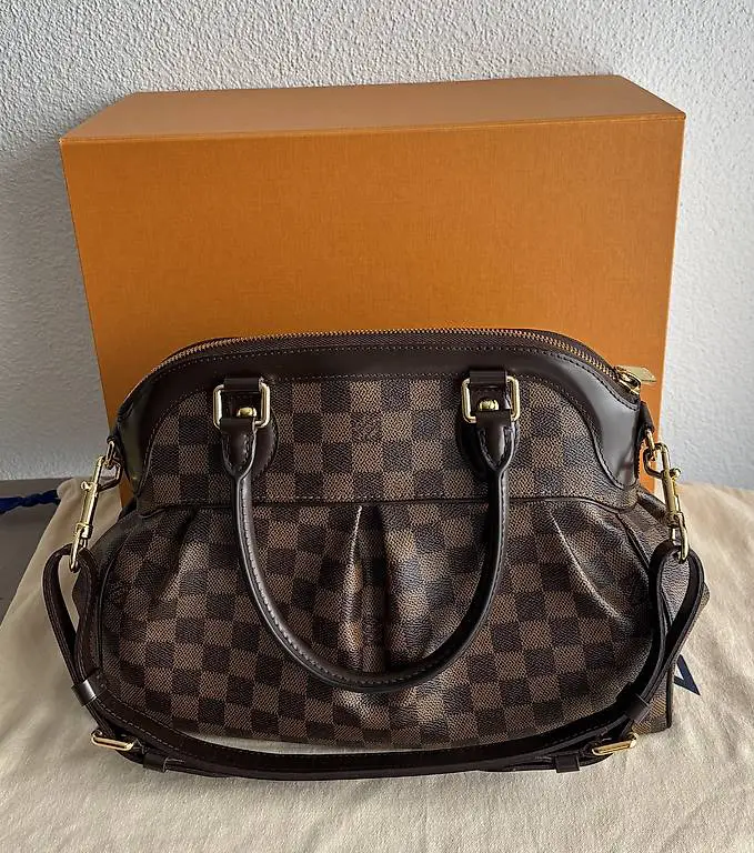 Louis Vuitton Trevi PM Damier