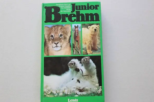 Junior Brehm Säugetiere I