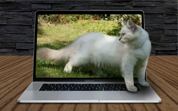 Professionelles Foto editing