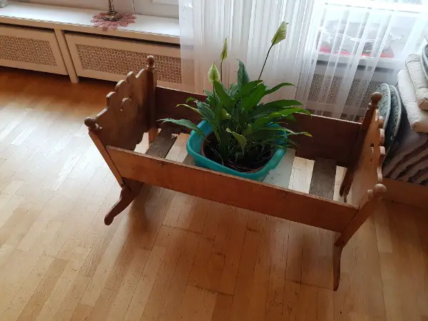 Wiege für Pflanzen