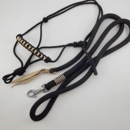 Knotenhalfter Gold & Schwarz, Grösse MINISHETTY | mit Strick 2m