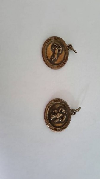 sternzeichen silber /vergoldet