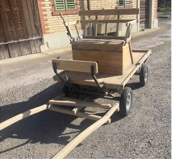 Esel-Kutsche mit Fahrgeschirr