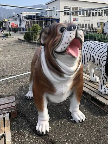  BIG Englische Bulldogg