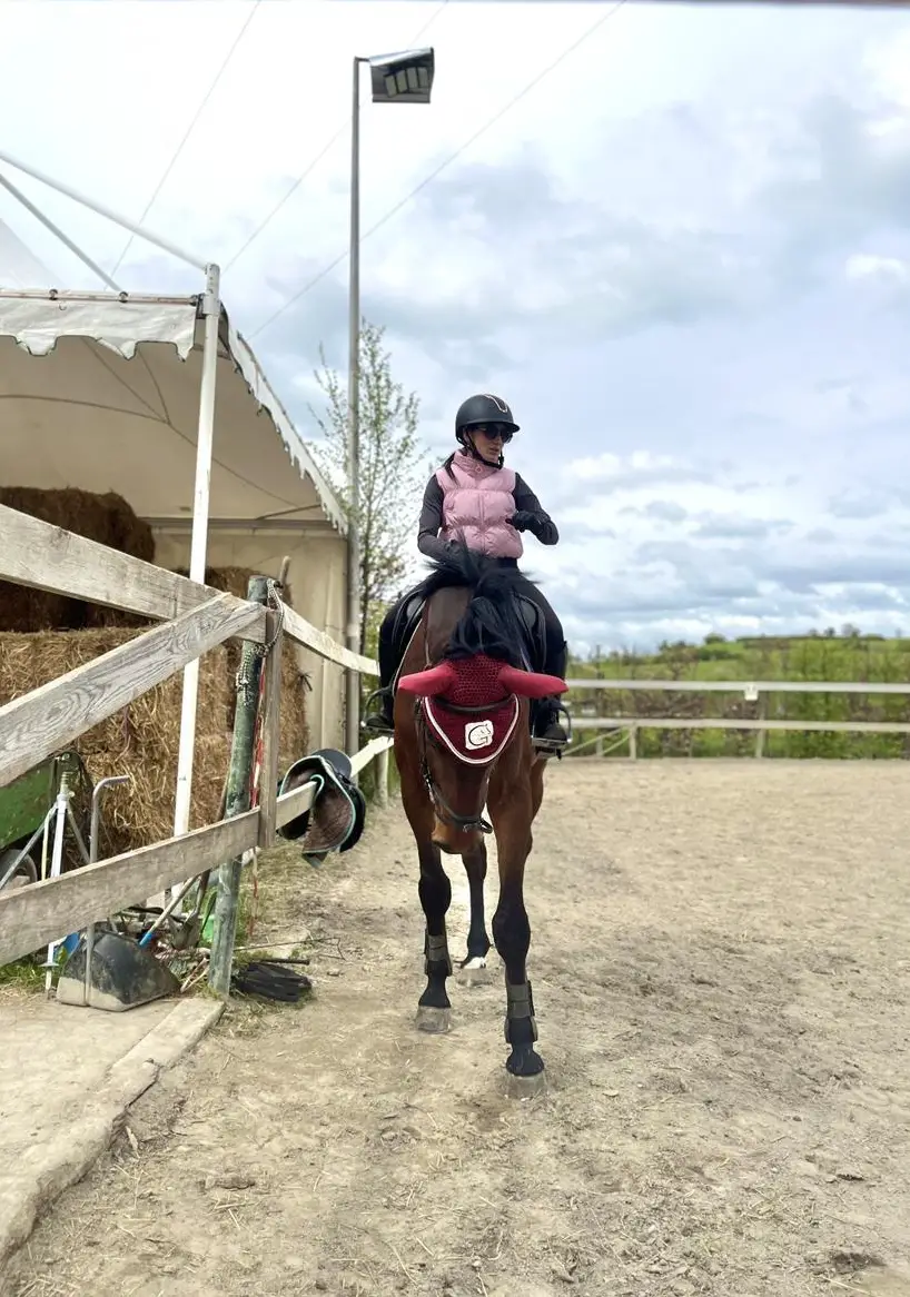 Bieten Reitstunden für Anfänger und Fortgeschrittene