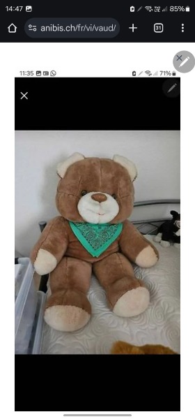 A vendre grand teddy