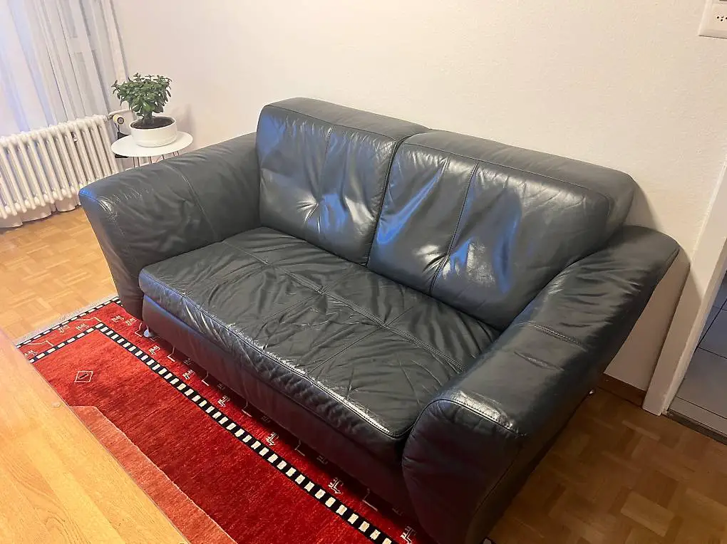 Ledersofa (1x 2er, 1x 3er)