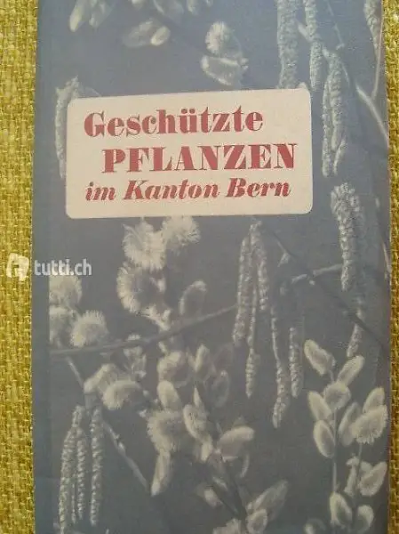 Geschützte Pflanzen im Kanton Bern