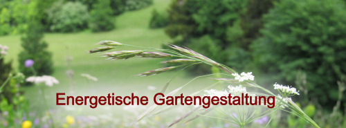 Raum-Akupunktur Feng Shui