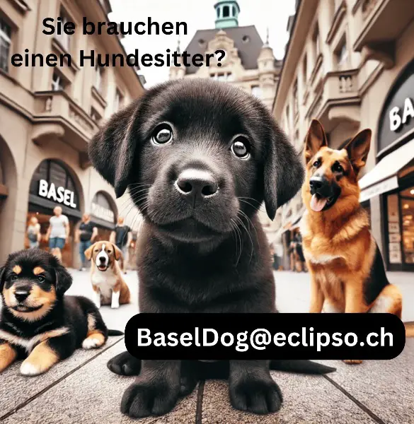Hundesitter & Hundebetreuuer - Der beste in BASEL