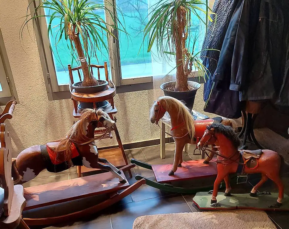 Geschecktes Pferdchen