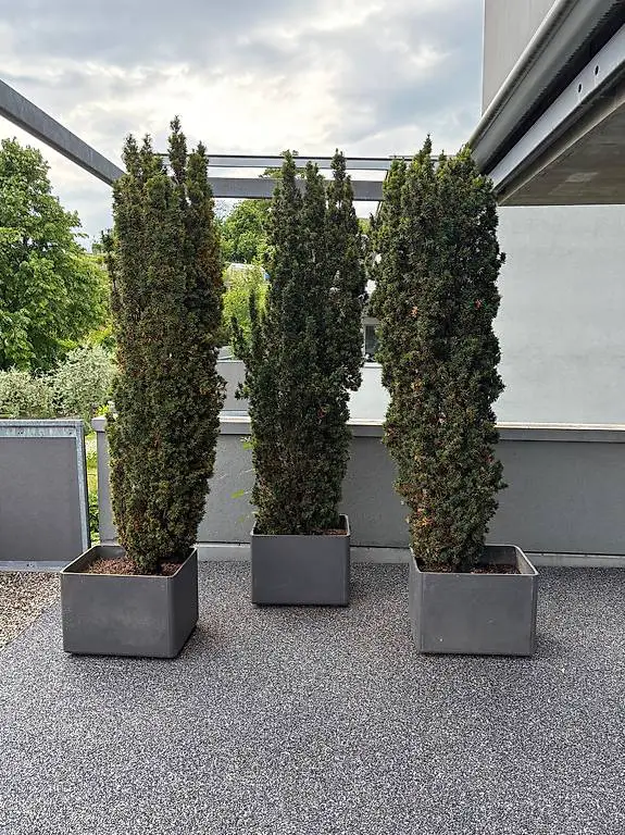 Pflanzengefässe Eternit Delta