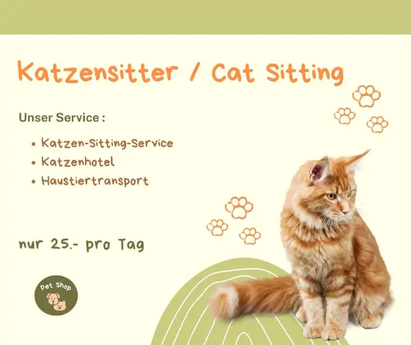 Katzensitter / Cat Sitting Solothurn und Umgebung (SO)