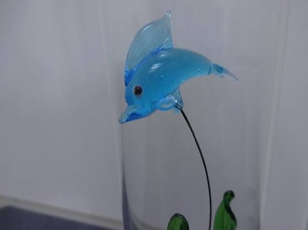 Delfin im Glas