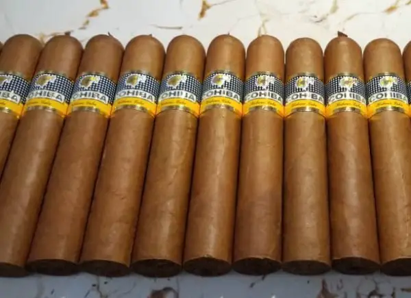 Cohiba Ambar 2022
