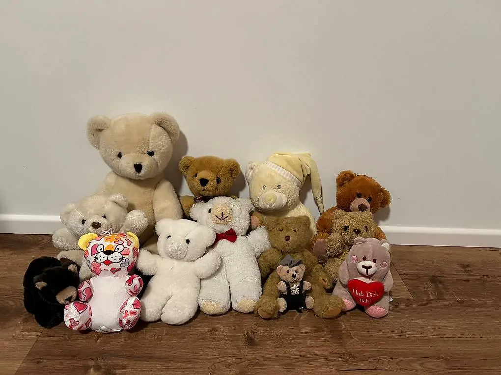 Diverse Plüschbären