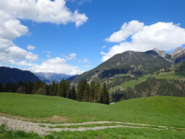 Offenstallplätze/ Sömmerungsweide/Altersweide