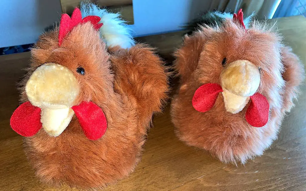 Hühnerfinken, Kinderfinken Huhn, Hühner