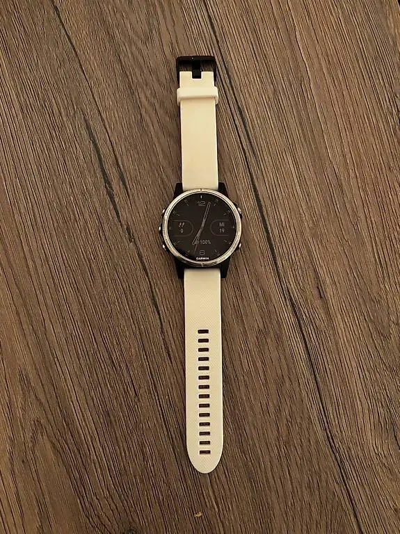 Garnin Fenix 5 Multisportuhr